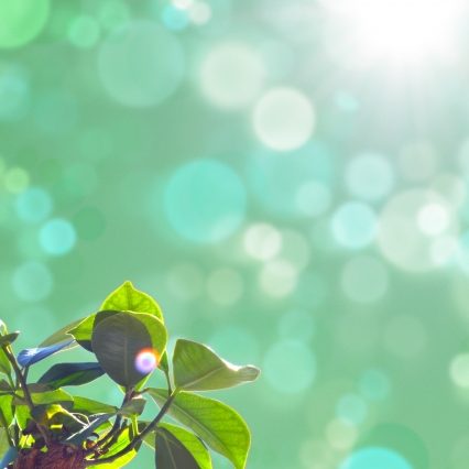 伸び代しかないじゃん