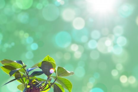 伸び代しかないじゃん