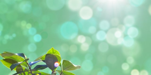 23008244_s 伸び代しかないじゃん