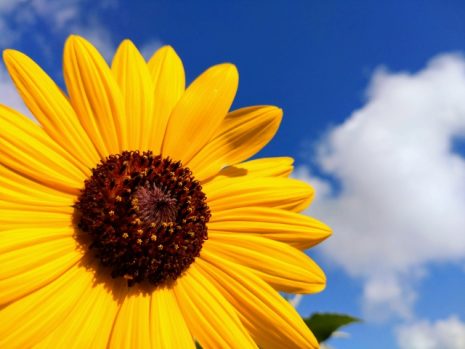 夏休み　中学受験