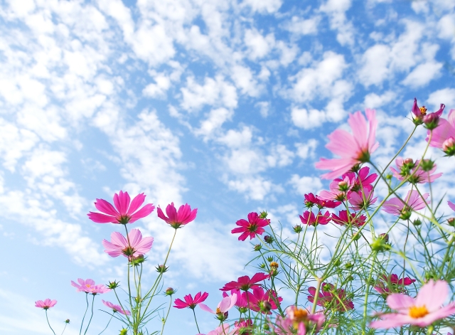 中学受験生の秋